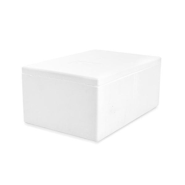 Ice best sale box polystyrene